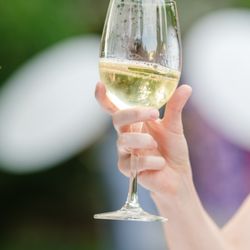 Zoe Events & Party Rentals - Ready to sip