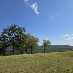 Bartlefield