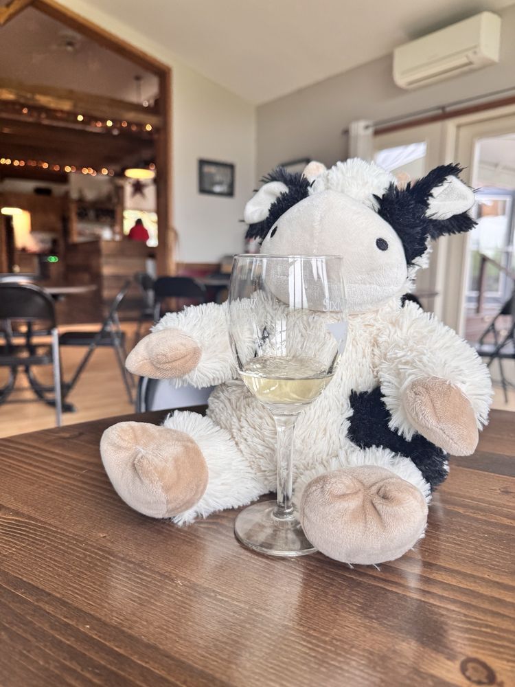 Six Mile Creek Vineyard