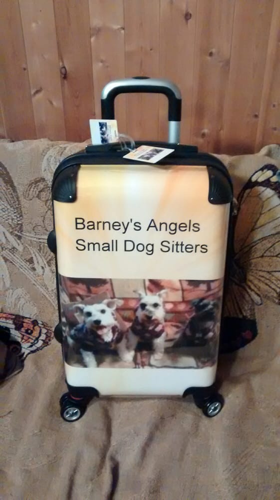 BARNEY’S ANGELS SMALL DOG SITTERS Updated September 2024 116 Reese