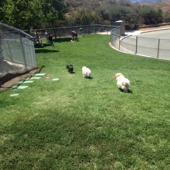 Rancho Simi Recreation & Park District - The bottom of the small dog area. - Dog Parks Near Me - Simi Valley, California