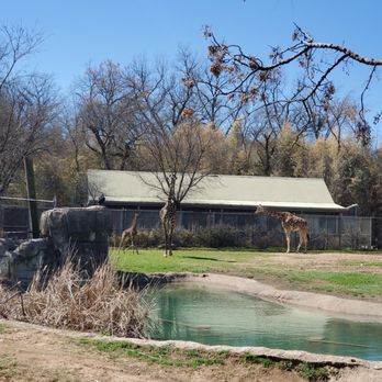Cameron Park Zoo - Zoos Near Me - Waco, Texas Cameron Park Zoo - Zoos Near Me - Waco, Texas
