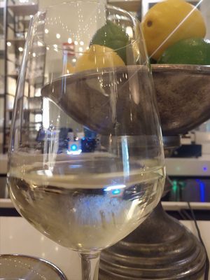 WATER LION Wine + Alchemy by null