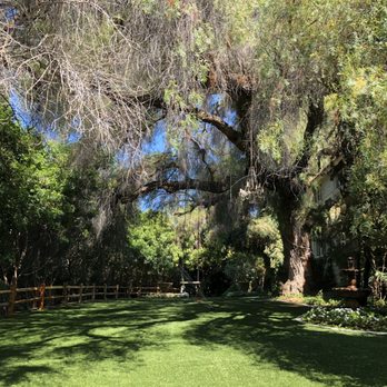 Green Gables Wedding Estate - Green Gables with swing/twinkle lights - Venues & Event Spaces Near Me - San Marcos, California Green Gables Wedding Estate - Green Gables with swing/twinkle lights - Venues & Event Spaces Near Me - San Marcos, California