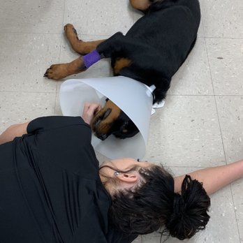 Village Veterinary Hospital - Comforting our patients. - Veterinarians Near Me - Johnston, Iowa Village Veterinary Hospital - Comforting our patients. - Veterinarians Near Me - Johnston, Iowa