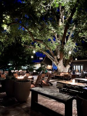 Hyatt Regency Lost Pines Resort and Spa by null