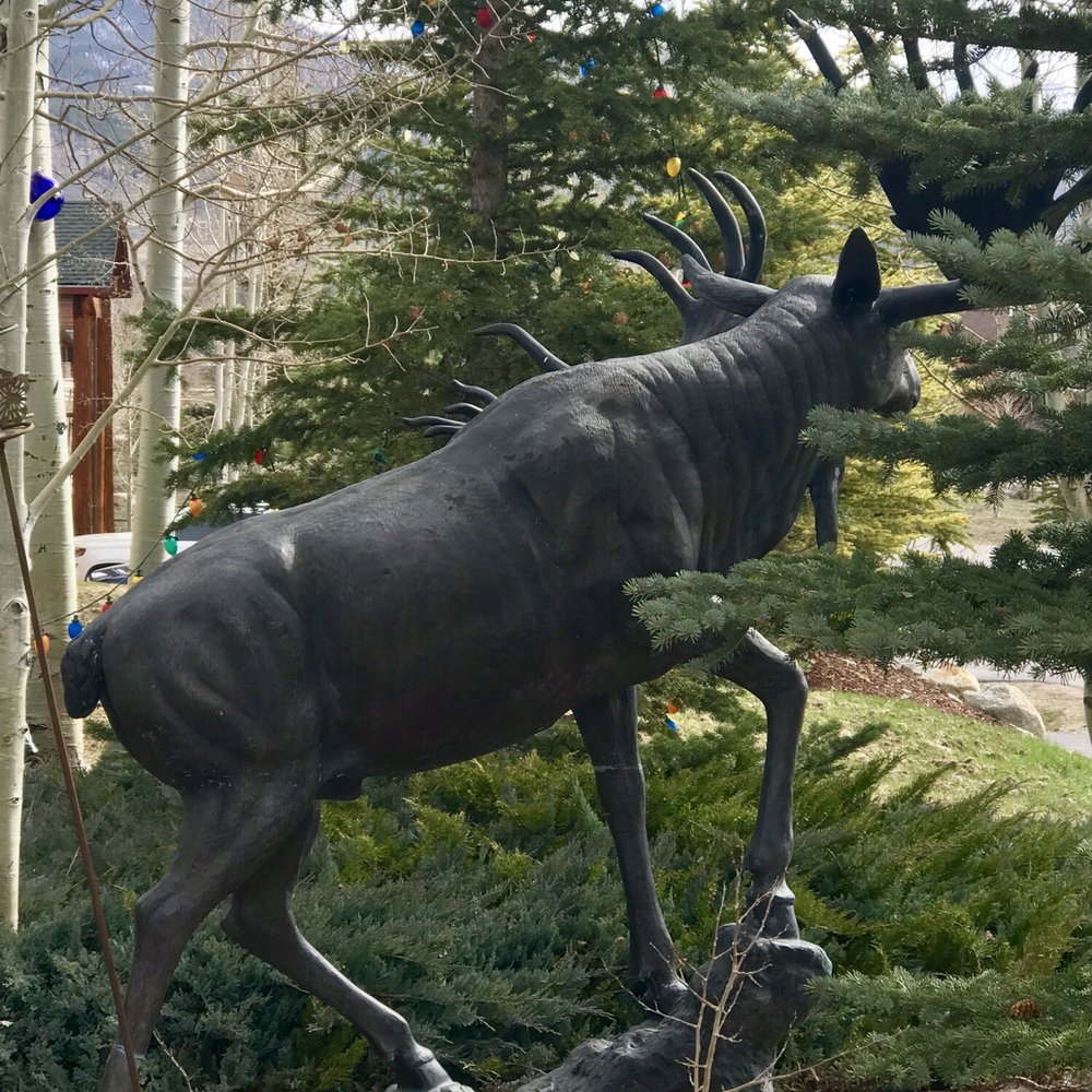 Majestic Mountain Movers - Movers Near Me - Silverthorne, Colorado Majestic Mountain Movers - Movers Near Me - Silverthorne, Colorado