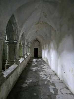 Muckross Abbey by null