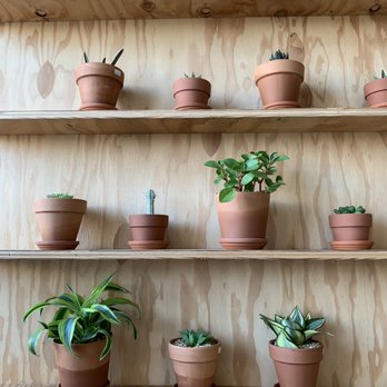 Eightfold Coffee - Coffee & Tea Near Me - Los Angeles, California Eightfold Coffee - Coffee & Tea Near Me - Los Angeles, California