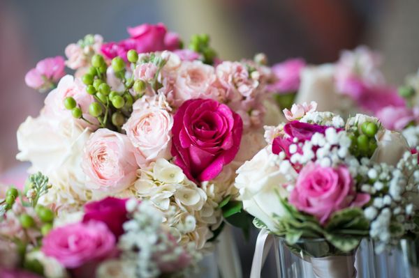 Floral & Fruit Paradise by null