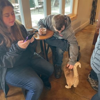 Limestone Branch Distillery - Corky the kitty ‍ - Distilleries Near Me - Lebanon, Kentucky