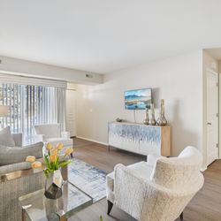 Harbour Village Apartments - Updated plank flooring!