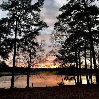 Percy E Quin State Park - Parks Near Me - McComb, Mississippi Percy E Quin State Park - Parks Near Me - McComb, Mississippi