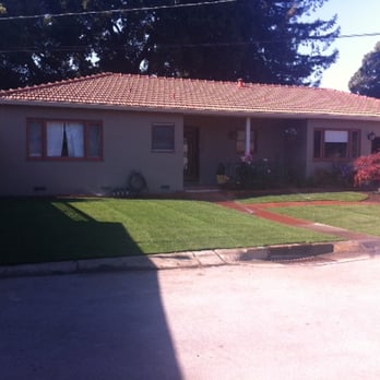 Creative Landscapes - Front yard after removal of juniper bushes and christmas trees. The sod is baseball field caliber. - Landscaping Near Me