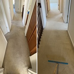 Best Review Carpet Cleaning