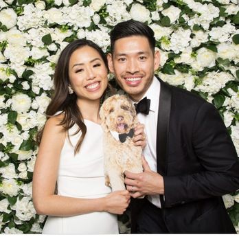 Picture This - The dog was a hit at this wedding - Photo Booth Rentals Near Me Picture This - The dog was a hit at this wedding - Photo Booth Rentals Near Me