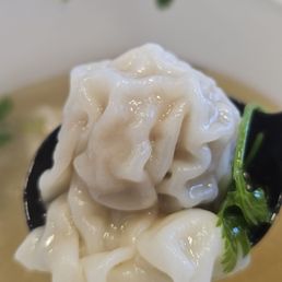 Mini Wonton Soup