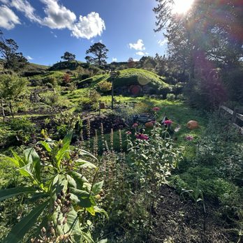 Hobbiton Movie Set - Walking Tours Near Me - Matamata, WKO
