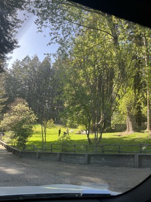 Beauregard Vineyards by null