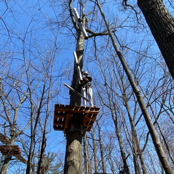TREETOP TREKKING - Updated September 2025 - 30 Photos & 24