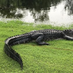 Oak Island Golf Club