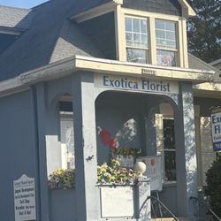 Exotica Florist