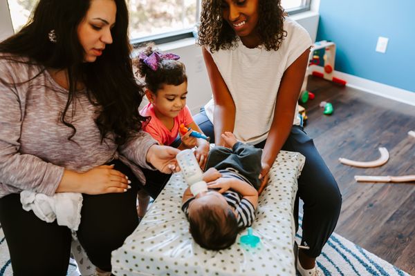 Dr. Mama Bird by null