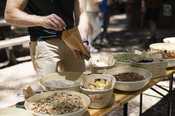 Piknik Town Market by null