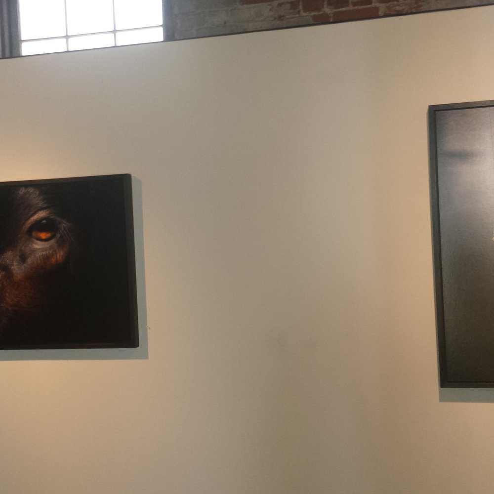 Whitespace Gallery - "Eyes Open Slowly", Constance Thalken - Art Galleries Near Me - Atlanta, Georgia