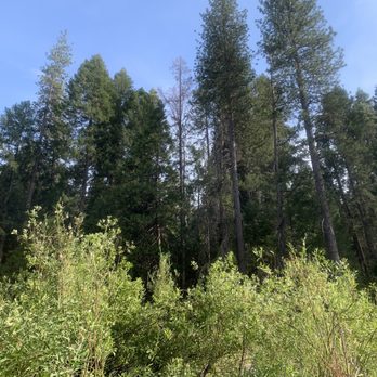 Bridal Veil Falls - 7/19/2020:  Bridal Veils Falls' scenery is serene yet, majestic. - Hiking Near Me - Pollock Pines, California