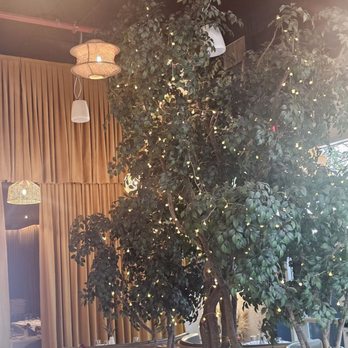 Mito - Inside the restaurant - Sushi Bars Near Me - Brooklyn, New York