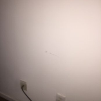 Park Avenue Properties - I'm still wondering why I paid for paint. - Property Management Near Me - Cornelius, North Carolina