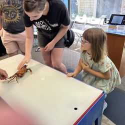 Explore the Ocean World - Mix of live creatures from local area.  Hands on.