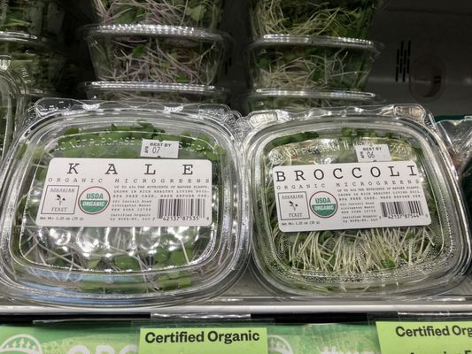 Elm Wellness by null