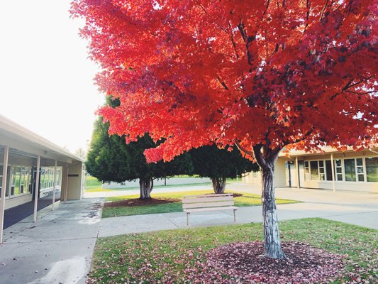 Christ The Teacher Catholic School