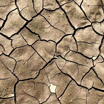 Goodman Creek Trail - The land dries up and cracks in the late spring - Hiking Near Me - Lowell, Oregon Goodman Creek Trail - The land dries up and cracks in the late spring - Hiking Near Me - Lowell, Oregon