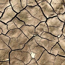 The land dries up and cracks in the late spring