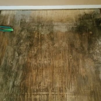Carpet Dimensions & Flooring - Another view. - Carpeting Near Me - Willingboro, New Jersey