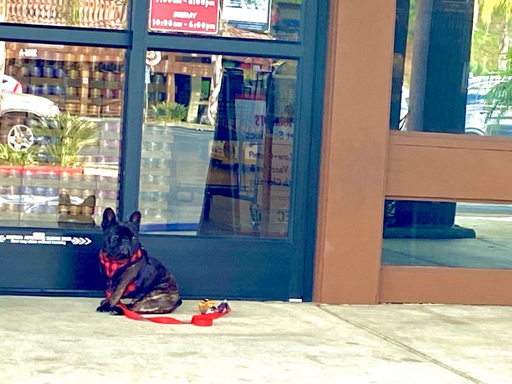 KAHOOTS PET STORE 31 Photos & 63 Reviews 2616 El Camino Real, Carlsbad, CA Yelp