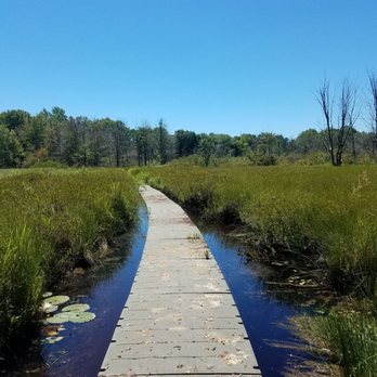 Bishop's Bog Preserve Trail - Summer 2017 boardwalk - Hiking Near Me - Portage, Michigan