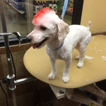 PetSmart - Pet Stores Near Me - San Leandro, California