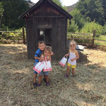 Riley's Apple Farm - Pick Your Own Farms Near Me - Yucaipa, California