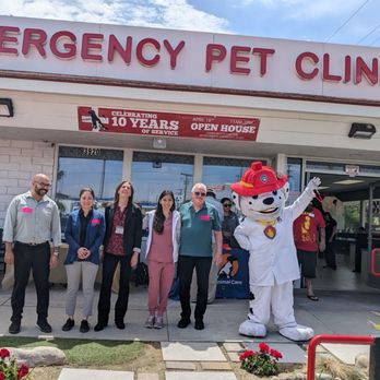 Simply Radiant Events - 10th Anniversary Open House photo with Marshall from Paw Patrol. - Party & Event Planning Near Me