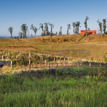 Corollary Wines - Wineries Near Me - Amity, Oregon Corollary Wines - Wineries Near Me - Amity, Oregon