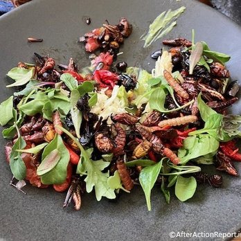 Los Danzantes - Oaxacan Bugs with Guacamole, Artisanal Quesillo, and Pico de Galo with Manzano Pepper - Mexican Near Me - Oaxaca, OAX Los Danzantes - Oaxacan Bugs with Guacamole, Artisanal Quesillo, and Pico de Galo with Manzano Pepper - Mexican Near Me - Oaxaca, OAX