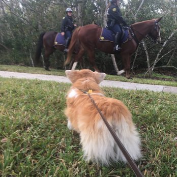 Demetree Park - The park is dog-friendly, if they're on leash - and apparently horse-friendly too :-) - Parks Near Me - Orlando, Florida Demetree Park - The park is dog-friendly, if they're on leash - and apparently horse-friendly too :-) - Parks Near Me - Orlando, Florida