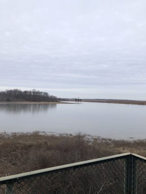 Bombay Hook National Wildlife Refuge by null