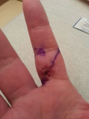 Dr. Mark E. Pruzansky, MD by null