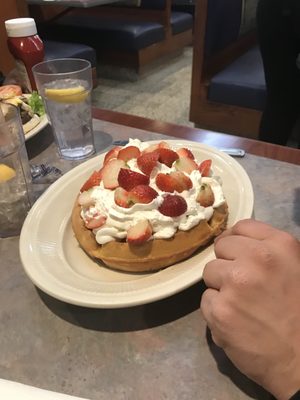 Bel Aire Diner by null