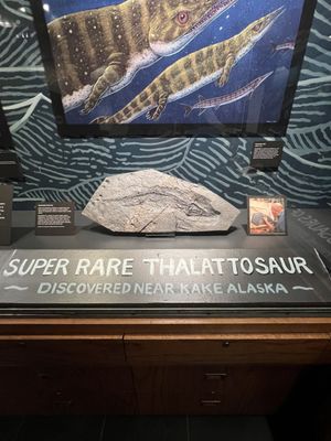 Tongass Historical Museum by null